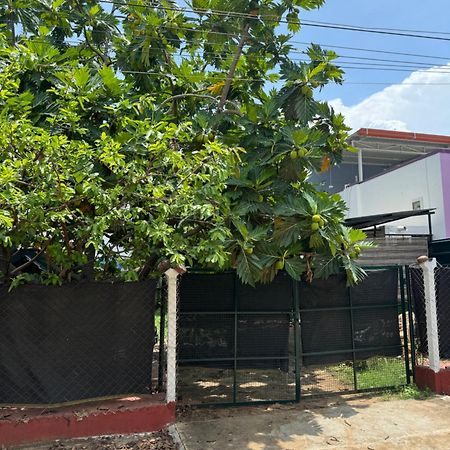 Hotel The Lazy Palm Shack Coimbatore Exterior foto