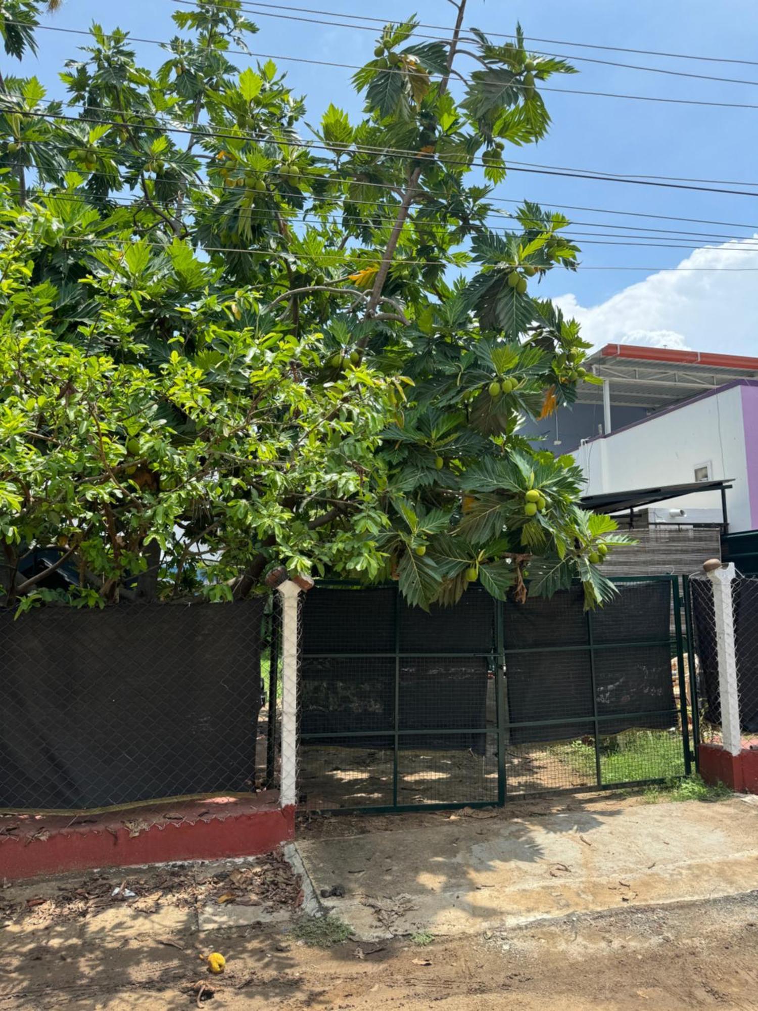 Hotel The Lazy Palm Shack Coimbatore Exterior foto